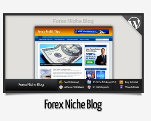 Forex Niche Blog